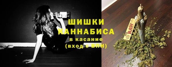 индика Богданович