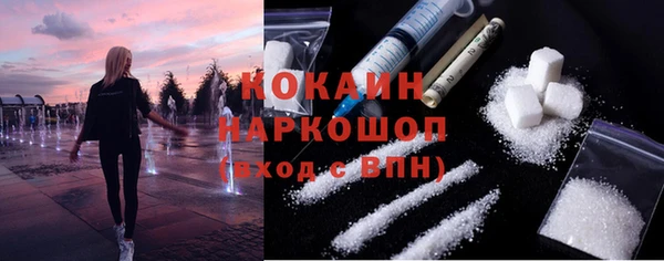 индика Богданович