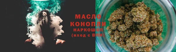 индика Богданович