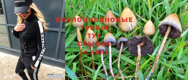 ALPHA PVP Богородицк