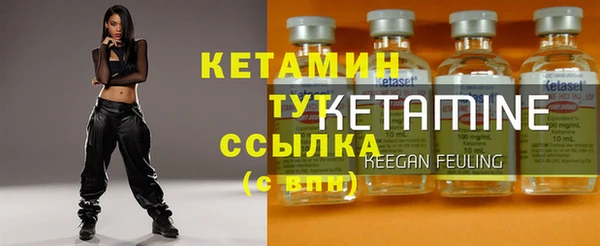 индика Богданович
