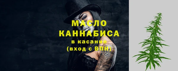 индика Богданович