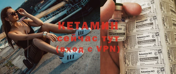 индика Богданович