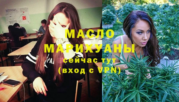 индика Богданович