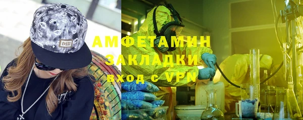 индика Богданович