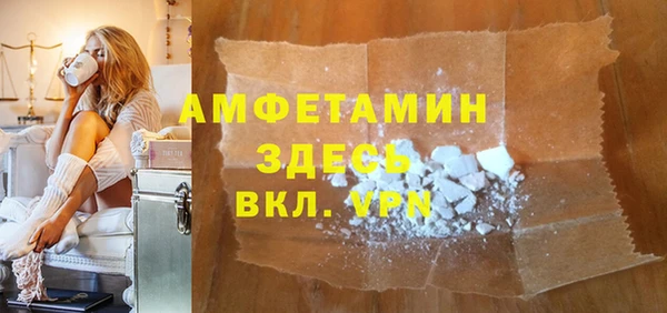 индика Богданович