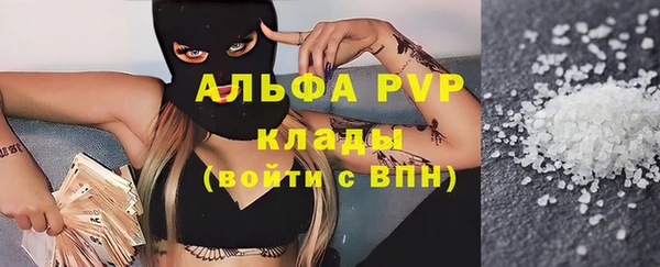 индика Богданович