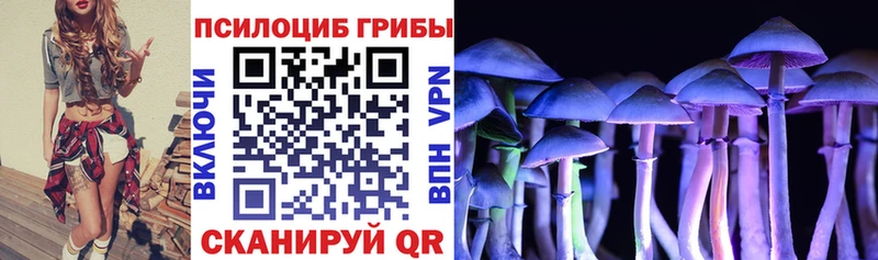 Галлюциногенные грибы Psilocybe  купить наркотики сайты  mega онион  Реж 