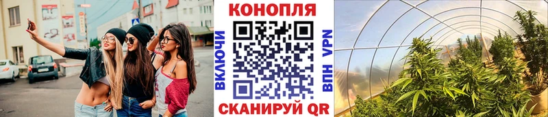 площадка какой сайт  Реж  Каннабис Amnesia 